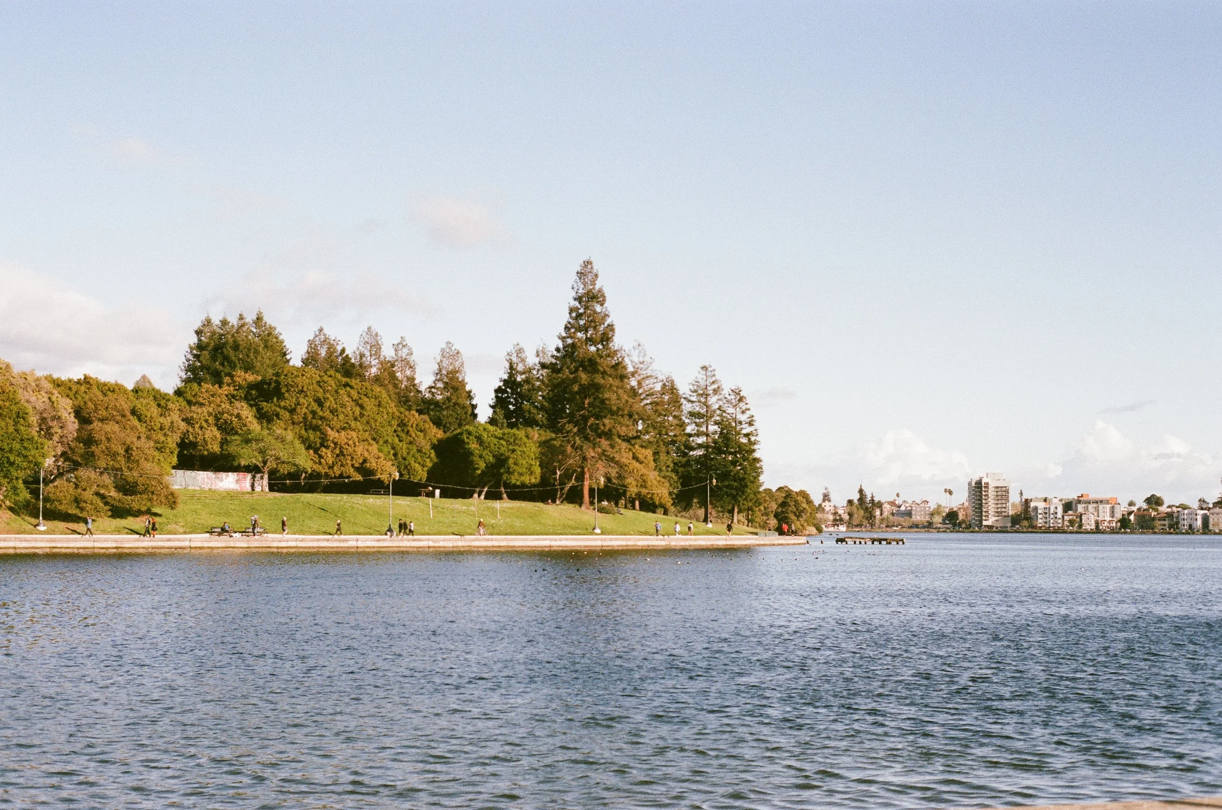 Lake Merritt and the Oakland skyline